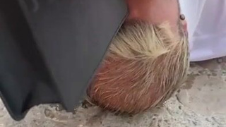 секс на улице
xxx на улице
ебля на улице
ебут на улице
порно на улице
ххх на улице
трахнул на улице
трах на улице
порно секс на улице
порно видео на улице
порнуха на улице
уличный секс
лучшее порно на улице
реальное порно на улице
русское порно на улице
порно видео бесплатно на улице
уличное порно
ебут телок на улице
порно с прохожей
поимел на улице
секс видео на улице
улицы секс
секс с прохожей
скс на улице
парно на улице
порнуха видео на улице
на улице секс порно
видео где трахаются на улице
порно видео частное на улице
seks na ulitsa
девушку ебут на улице
дала на улице секс
девушка ебется на улице
секс везде
трахает на улице
чпокнул на улице
голую ебут на улице
трахнули на улице
случайный секс на улице
смотреть порно секс на улице
порно трах на улице
секс улице
смотреть порнуху на улице
улице секс
видео про секс на улице
сек на улице
порно девочки на улице
порно везде
на улице порно видео
porn на улице
секс на улитса
баб ебут на улице
трахнулись на улице
смотреть порно на улице
порно ночью на улице
женщину ебут на улице
порно с уличкой
секс на улиса
эротика видео на улице
seks na ulitse
поро на улице
порно трахаются на улице
трахнул прохожую
порно на улице с незнакомыми
девушка трахается на улице
молодые трахаются на улице
порно смотреть на улице
случайный секс на улице видео
на улице ебут
русский секс на улице
трахают на улице
порно на улице реал
порно в городе на улице
porno na ulice
секс ул
на улице секс
порно подошел на улице
porno улица
трах молодых на улице
секс на улице ххх
порно на улице в
sex ulitsa
порно трахаются везде
любительское порно на улице
секс улица
porno на улице
порно на улице смотреть
секс порно на улице
домашний секс на улице
ulitsa xxx
бесплатно секс на улице
трахает телку на улице
porno ulisa
секс на улице без цензуры
секс на улице реально
секс на улитца
порно в пизду на улице
ебля на улице видео
домашнее порно на улице
порно голая на улице
ххх уличное
порно отымел на улице
ебут на улице порно
трахаться на улице
смотреть порно снял на улице
порно русское жесткое на улице
девок трахают на улице
порно присунул на улице
бабы ебутся на улице
жесткое порево на улице
секс на улице быстро
porno na ulitse
траханье на улице
порнография на улице
порно с улицы домой
трахнул красивую на улице
секс бесплатно на улице
сеус на улице
seks na ulitsu
порно с незнакомкой на улице
уличный секс видео
смотреть как трахаются на улице
выебал женщину на улице
уличные секс
трахнул подружку на улице
порно видео ебут на улице
отъебал на улице
порно бабы на улице
секс на прогулке
на улице трахнул
секс на улице при людях
трахнул девку на улице
порно уличные
видео трах на улице
порно уличные девки
поно на улице
эро видео на улице
выебал девушку на улице
на улицу секс
секс с незнакомкой на улице
порно дала на улице
трахнул девчонку на улице
ебут на улице при всех
скс на улице видео
на улице порно онлайн
секс ночью на улице
порно ебутся на улице
трах на улице любительское
порно уличное
эротика на улице
na ulitsa seks
публичный секс с незнакомкой
порно секс с прохожими
ул порно
порно девки на улице
ютуб порно на улице
ххх порно на улице
секс на улице перед людьми
смотреть порно видео на улице
русские ебутся на улице
на улицах порно
интим на улице
выебал девочку на улице
порно на улице бесплатно
смотреть видео секс на улице
порно на улице среди людей
порно ебля на улице
порно дает всем на улице
порно на улице в городе
мужик трахает женщину на улице
пор на улице
трахнул красавицу на улице
секс смотреть на улице
секс на на улице
секс с девушкой с улицы
на улице трахнули
порно посреди улицы
трахнул прямо на улице
скс на улеце
потрахались на улице
выебали прям на улице
на улице porno
онлайн порно на улице
трахнул на улице порно
трахаются на виду
русская эротика на улице
на улице трах
на улицу порно

